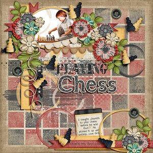 Playing Chess