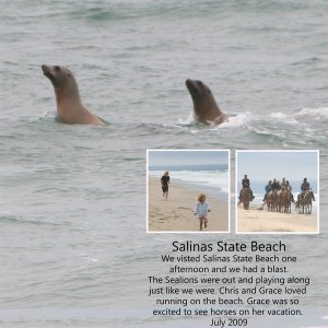 Salinas State Beach
