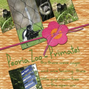 Peoria Zoo pages