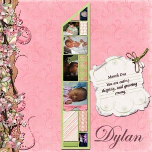 Dylan 1 month