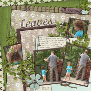 Leaves