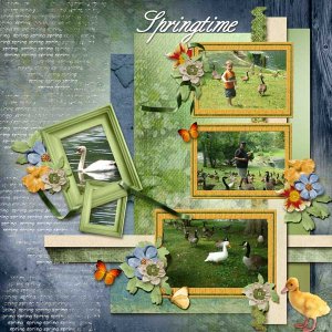 Duck-FeedWEB