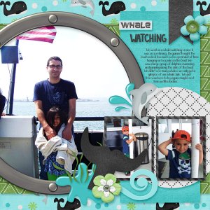 Whale Watching