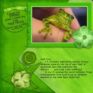 Tree Frogs Make it Real