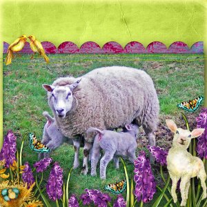 Spring!