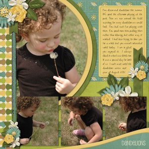 Dandelions