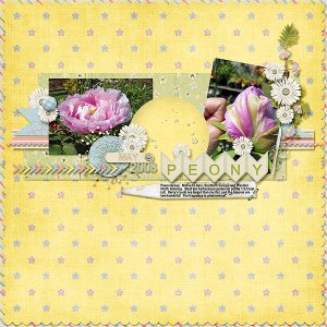 Peony