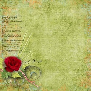 The rose