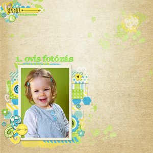 1. ovis fotzs