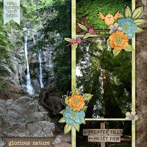 Pfeiffer Falls