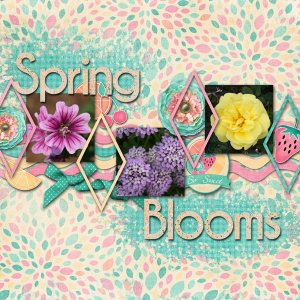Spring Blooms