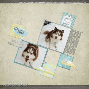 Snowdog 3.13