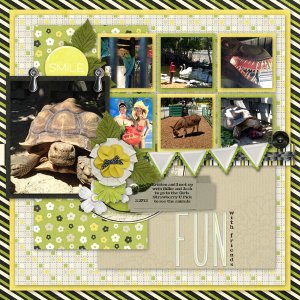 Fun with Friends