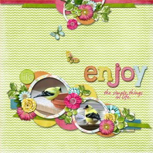 Enjoy the Simple Things in Life