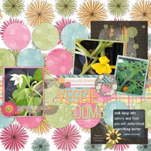 Veggie Blooms