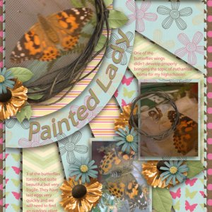 Painted Lady