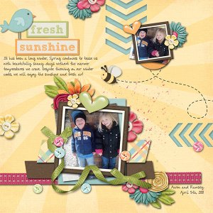Fresh Sunshine