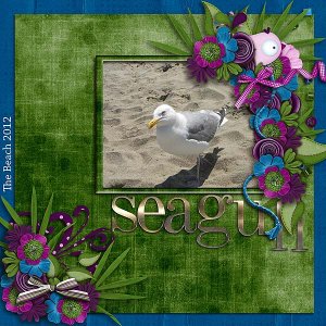 Seagull