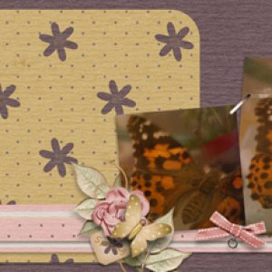 Painted Lady FB cover