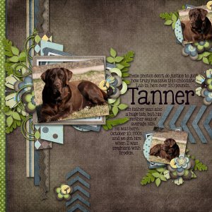 Tanner
