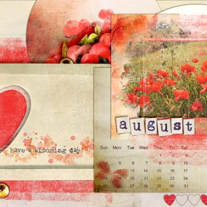 Poppy desktop