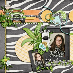 Zebra