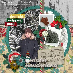 Winter Wonderland