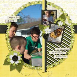 Painted Lady Release
