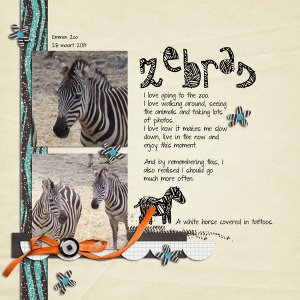 Zebras