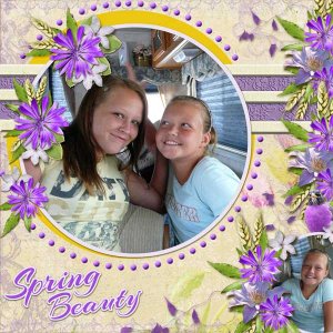 Spring-BeautyWEB