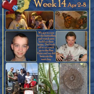 week 14