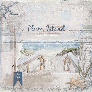 Plum Island