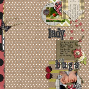 ladybugs1