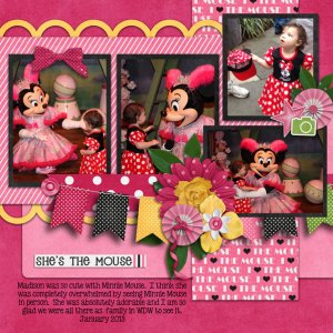 shesthemouse_altimasport