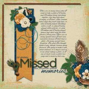 Missed Memories