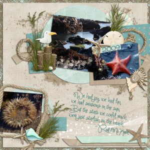 Starfish on the Beach