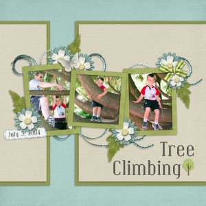 Tree Climbing