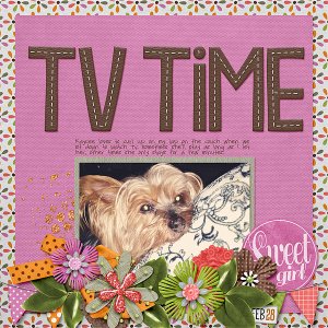 040-04-13-TVTimeByCFALBRO