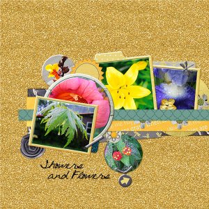 Showers and Flowers
