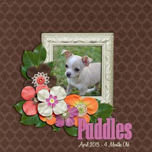 Puddles
