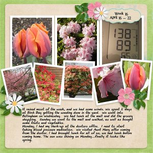 2013_Week16