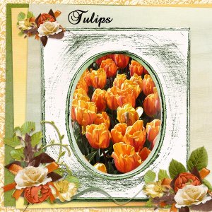 Tulips2