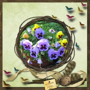 Favorite Pansies