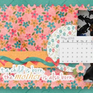 may-desktop-TMS_Desktop