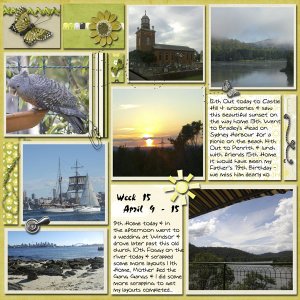 Project_Life_Wk_15