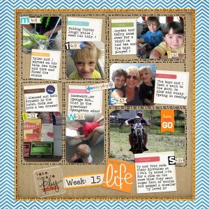 Week 15, 2013