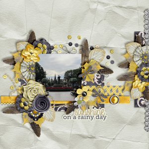 Rainy Day