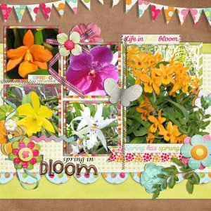 spring in bloom