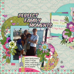 perfect family moments