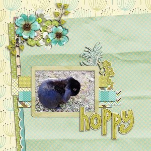Hoppy